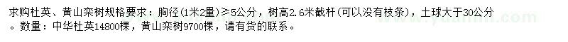 求購胸徑5公分以上杜英、黃山欒樹