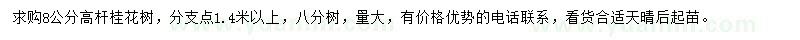 求購8公分桂花樹