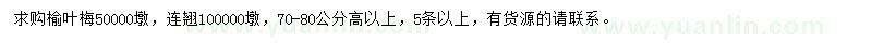 求購(gòu)高70-80公分以上榆葉梅、連翹