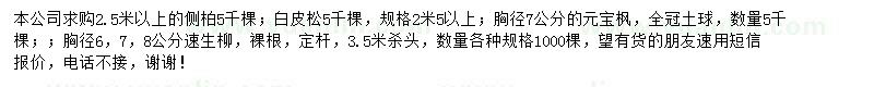 求購側(cè)柏、白皮松、元寶楓等