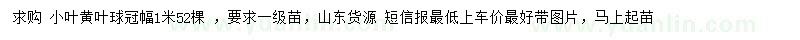 求購(gòu)冠幅1米小葉黃葉球