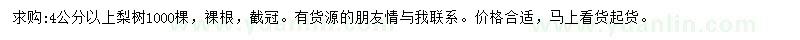 求購(gòu)4公分以上梨樹