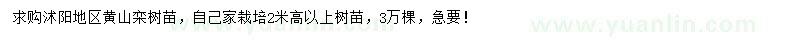 求購高2米以上黃山欒樹苗