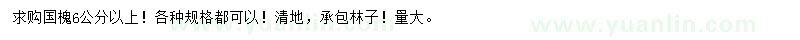求購6公分以上國槐
