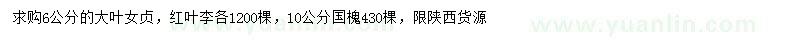 求購大葉女貞、紅葉李、國槐