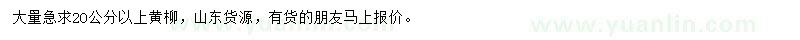 求購20公分以上黃柳