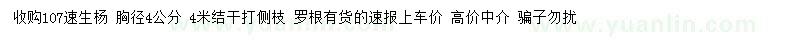 求購(gòu)胸徑4公分107速生楊 