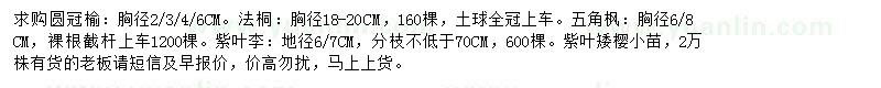 求購(gòu)圓冠榆、法桐、五角楓等