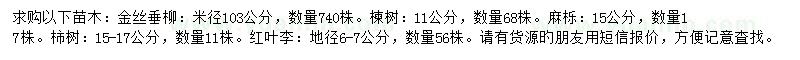 求購金絲垂柳、楝樹、麻櫟等