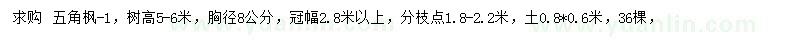 求購胸徑8公分五角楓