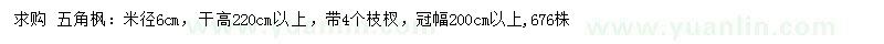求購米徑6公分五角楓