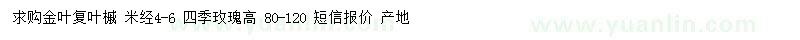求購(gòu)米徑4-6公分金葉復(fù)葉槭、高80-120公分四季玫瑰