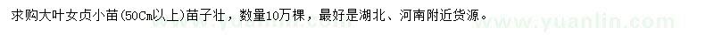 求購高50公分以上大葉女貞小苗