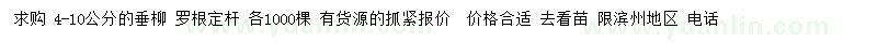 求購(gòu)4-10公分垂柳