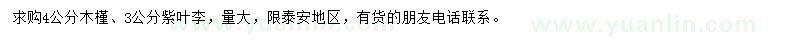 求購(gòu)4公分木槿、3公分紫葉李