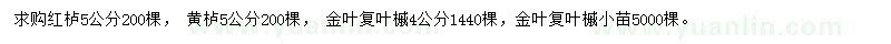求購紅櫨、黃櫨、金葉復(fù)葉槭
