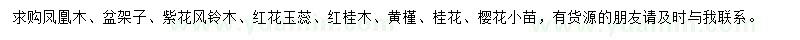 求購鳳凰木、盆架子、紫花風(fēng)鈴木等