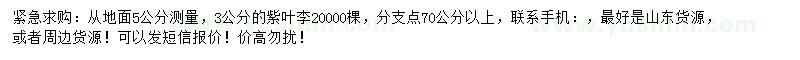 求購3公分紫葉李