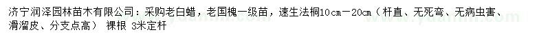 求購老白蠟、老國(guó)槐、速生法桐