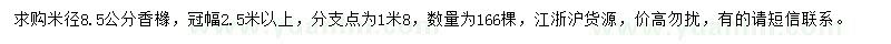 求購米徑8.5公分香櫞