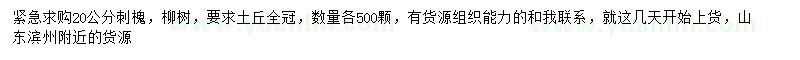 求購20公分刺槐、柳樹