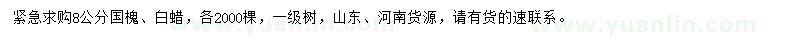 求購8公分國槐、白蠟