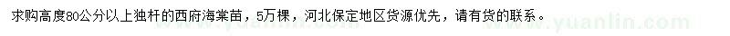 求購高80公分以上西府海棠苗