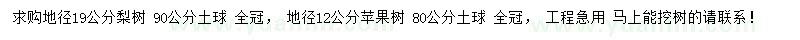 求購(gòu)地徑19公分梨樹、12公分蘋果樹