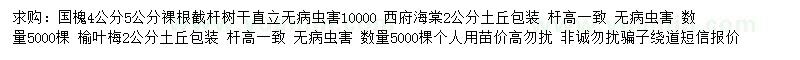 求購國槐、西府海棠、榆葉梅