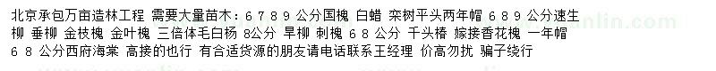 求購(gòu)7、8、9公分國(guó)槐、白蠟、欒樹