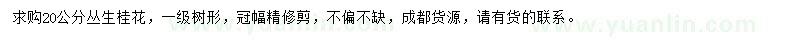 求購20公分叢生桂花