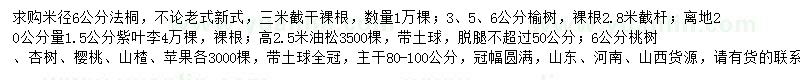 求購法桐、榆樹、紫葉李等