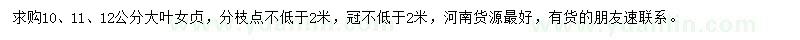 求購(gòu)10、11、12公分大葉女貞