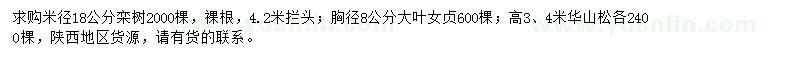 求購(gòu)欒樹(shù)、大葉女貞、華山松