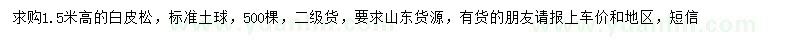 求購高1.5米白皮松
