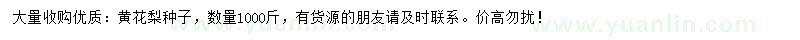 求購黃花梨種子