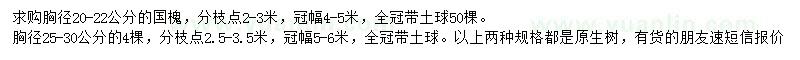求購(gòu)胸徑20-22公分國(guó)槐