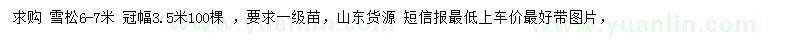 求購6-7米雪松