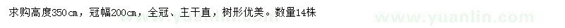 求購冠幅200公分棕櫚