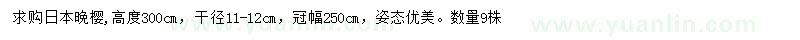 求購(gòu)冠幅250公分日本晚櫻