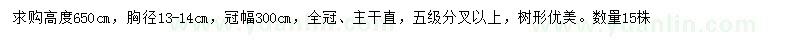 求購胸徑13-14公分廣玉蘭
