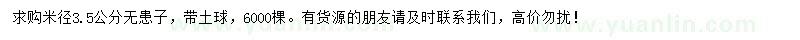 求購米徑3.2公分無患子