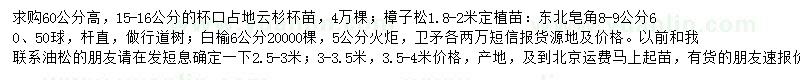 求購云杉、樟子松、東北皂角等