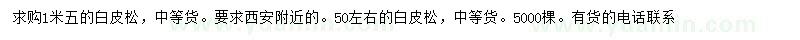 求購1.5米白皮松