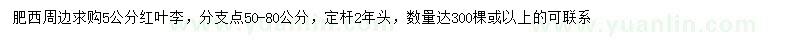 求購5公分紅葉李