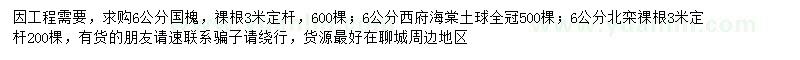 求購國槐、西府海棠、北欒等