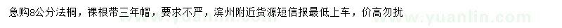 求購8公分法桐