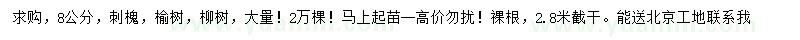 求購刺槐、榆樹、柳樹