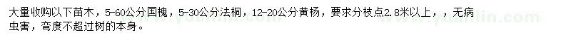 求購國槐、法桐、黃楊