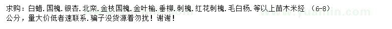 求購白蠟、國槐、銀杏等